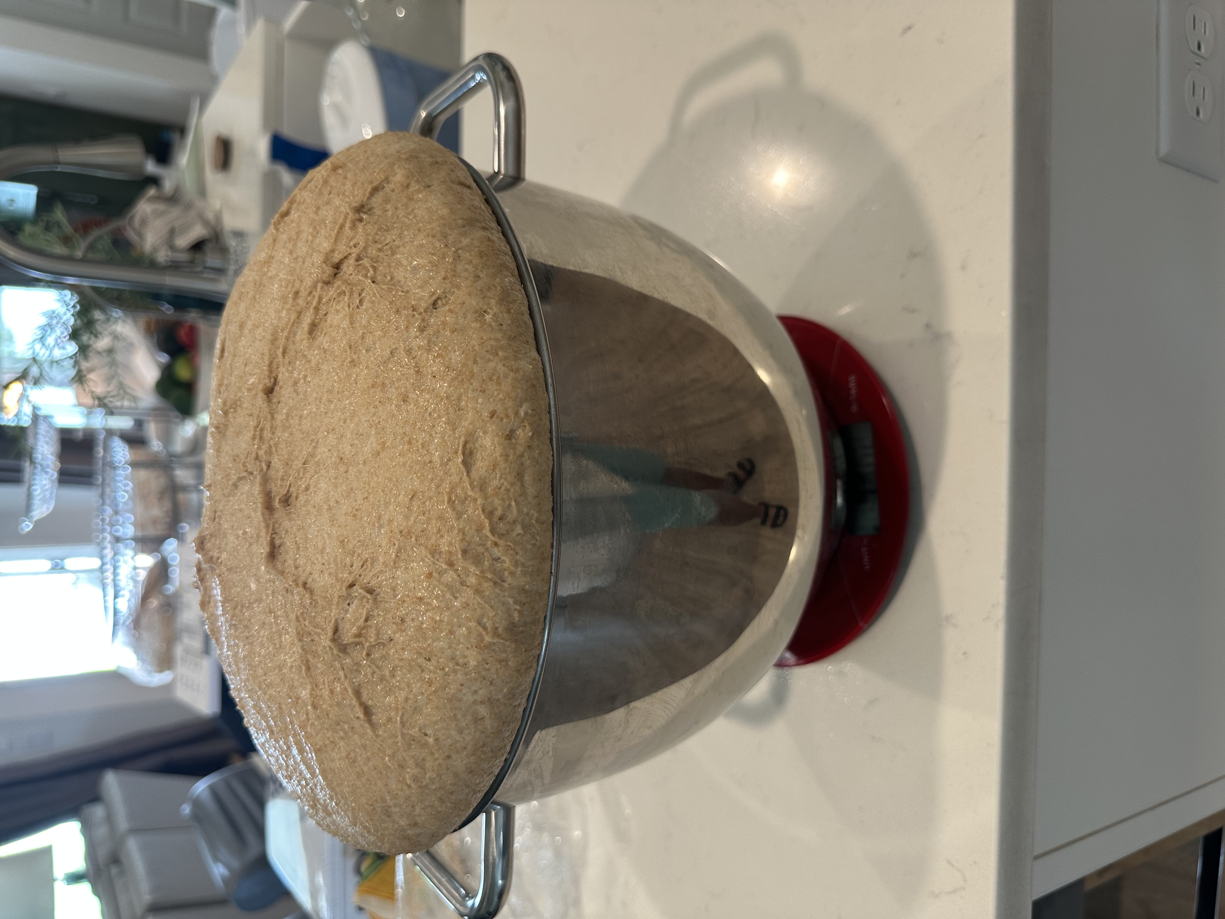 Breaking Real Bread